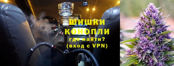молекула духа Семёнов