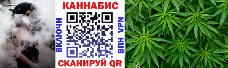где найти   Горбатов  Каннабис ГИДРОПОН 